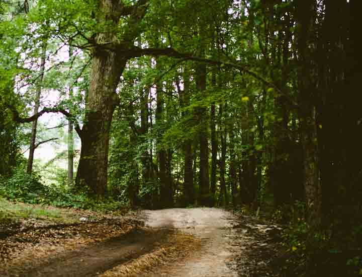 飞跃科技